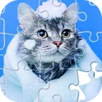 jigsaw puzzles, hd puzzle game android application logo